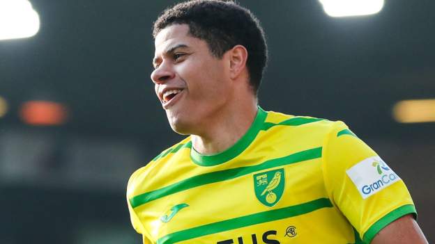 Norwich City 5-0 Rotherham United: Canaries move into play-off places with crushing win over bottom side