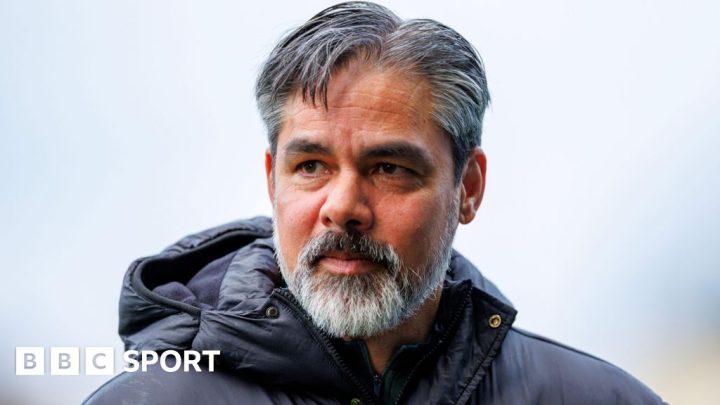 Norwich boss David Wagner happy for Canaries to fly under radar