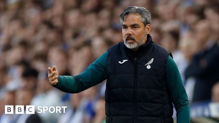 Norwich City sack boss David Wagner after play-off loss at Leeds