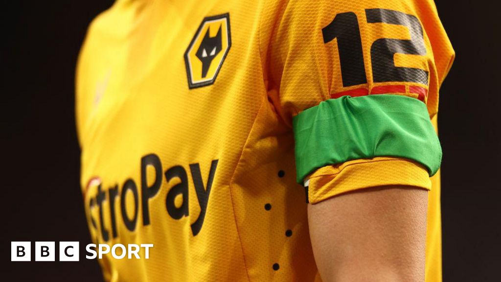 Premier League clubs praised for climate progress but league criticised Premier League clubs praised for climate progress but league criticised