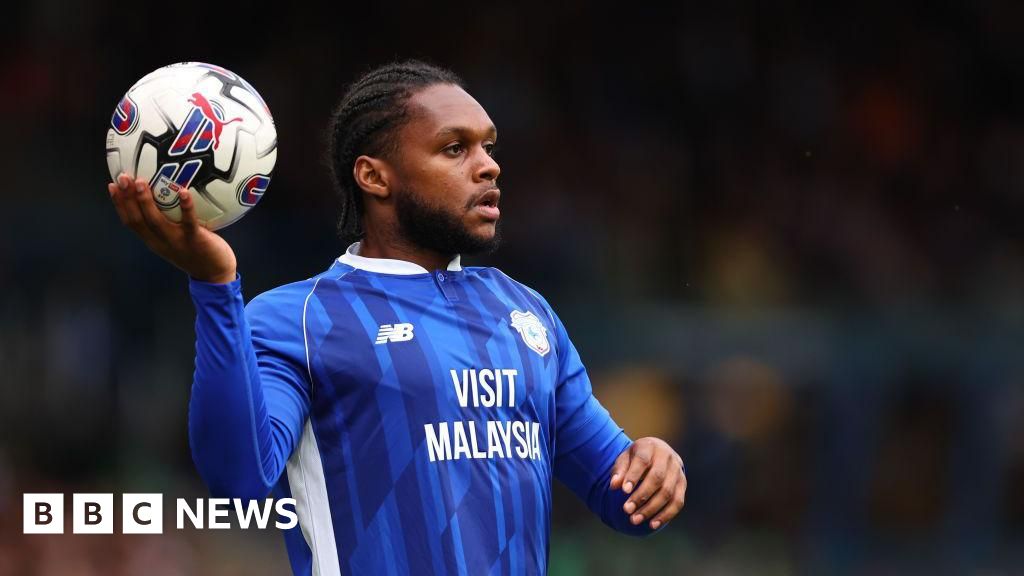 Cardiff City: Footballer ‘deeply regrets’ homophobic comments