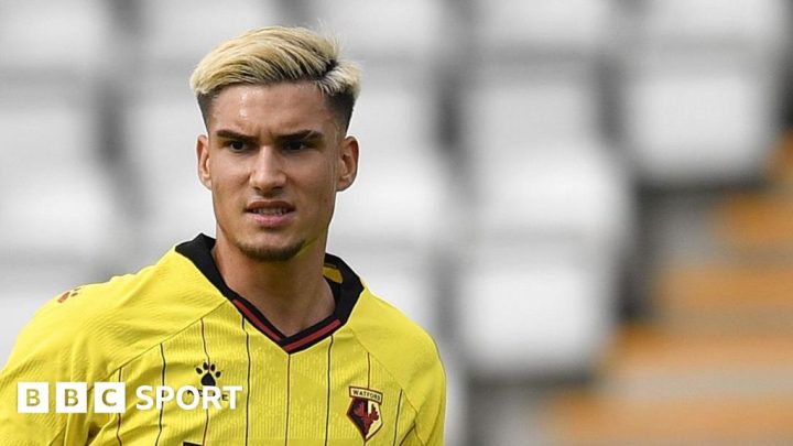 Watford sign Udinese centre-back Antonio Tikvic on loan
