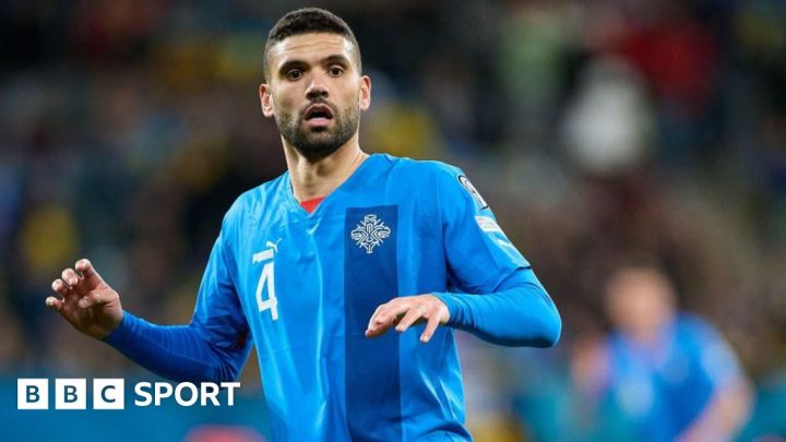 Plymouth Argyle sign Iceland international Victor Palsson