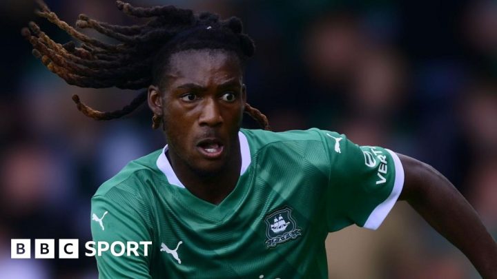 Ibrahim Cissoko: Plymouth loanee hopes to develop in Championship