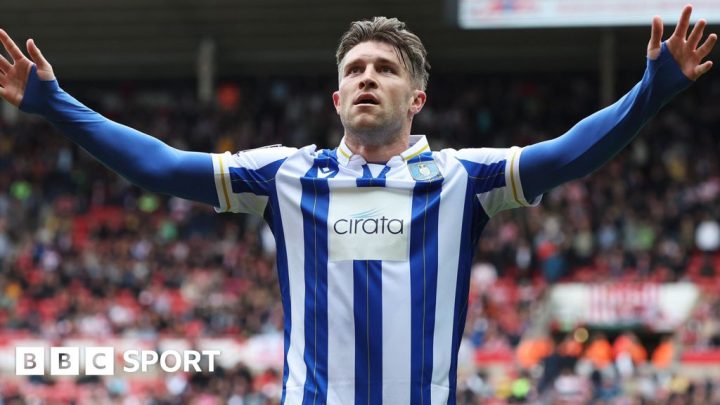 Sheffield Wednesday fans wearing fake shirts may be ‘asked to leave’ Hillsborough