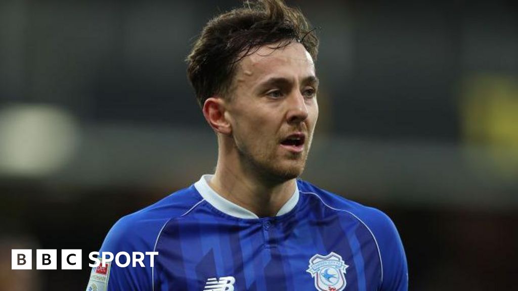 Ryan Wintle: Millwall sign Cardiff midfielder on season-long loan Ryan Wintle: Millwall sign Cardiff midfielder on season-long loan