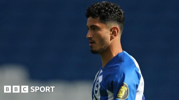 Steven Alzate: Hull sign free-agent former Brighton midfielder