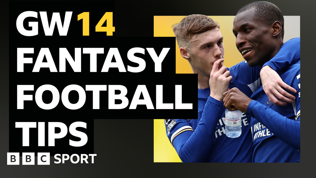 FPL tips and team of the week: Cole Palmer and Nicholas Jackson will shine in gameweek 14 FPL tips and team of the week: Cole Palmer and Nicholas Jackson will shine in gameweek 14