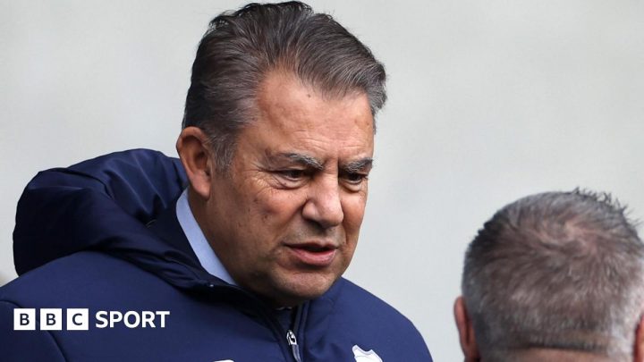 Cardiff City: Chairman Dalman tells fans to expect January signings