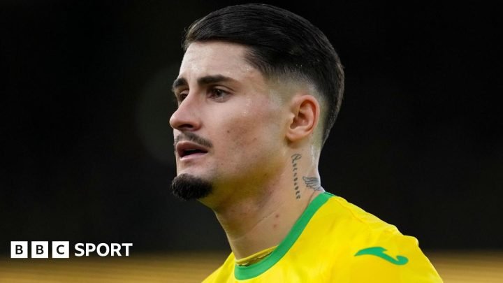 Borja Sainz: Norwich forward ‘fit and energised’ for spitting ban return