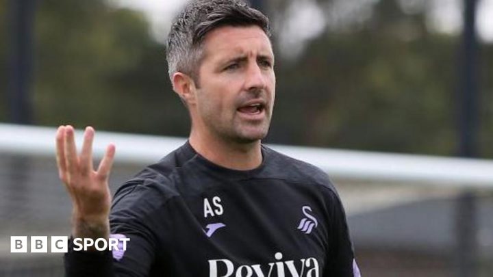 Swansea City players and staff must ‘look in the mirror’ after Luke Williams exit – Alan Sheehan