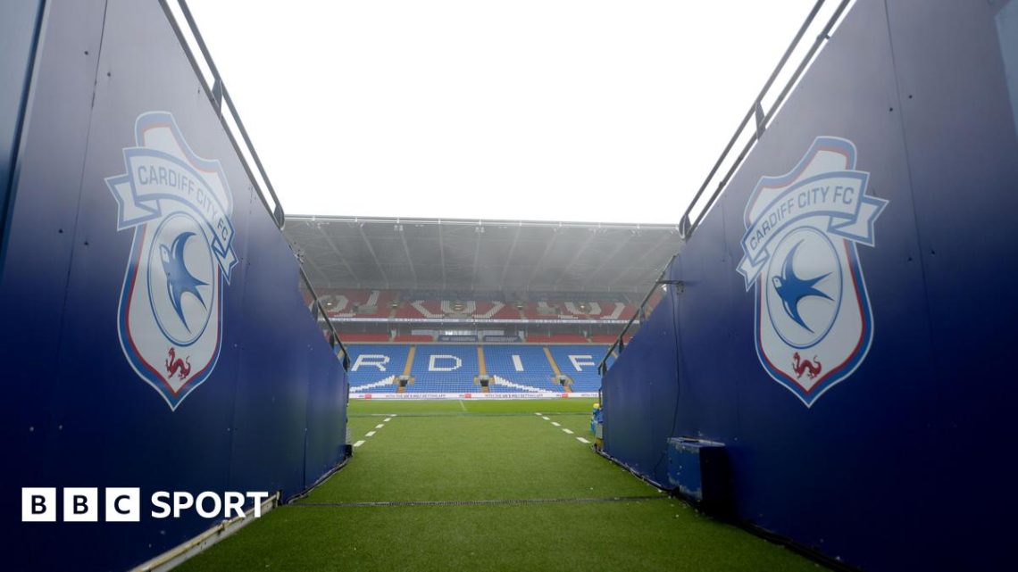 Cardiff City lose £11m as club remains reliant on owner Vincent Tan Cardiff City lose £11m as club remains reliant on owner Vincent Tan