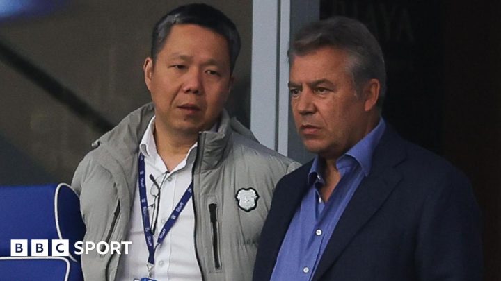 Cardiff trial new process in manager search, says Mehmet Dalman