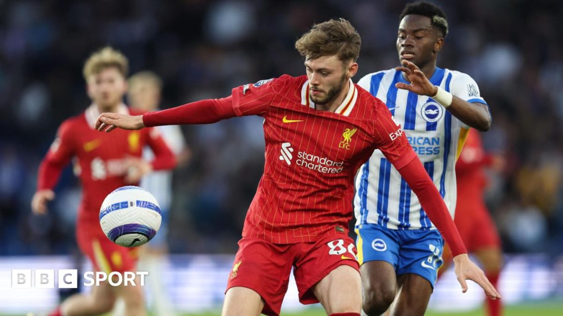 Liverpool: Conor Bradley ‘ready to step up’ at Anfield says NI boss Michael O’Neill Liverpool: Conor Bradley ‘ready to step up’ at Anfield says NI boss Michael O’Neill
