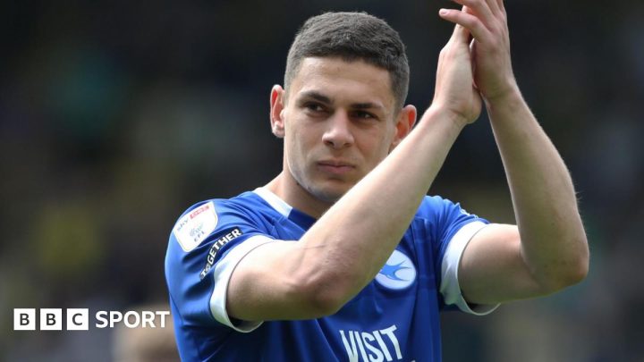No pressure on Cardiff City to sell players, says Mehmet Dalman