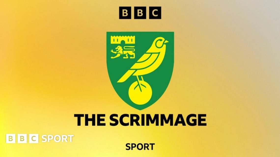 Norwich City: What should be on the Canaries’ shopping list? Norwich City: What should be on the Canaries’ shopping list?