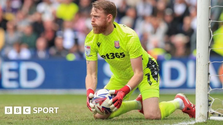 Stoke City: Staying up is a relief, not a celebration – Johansson