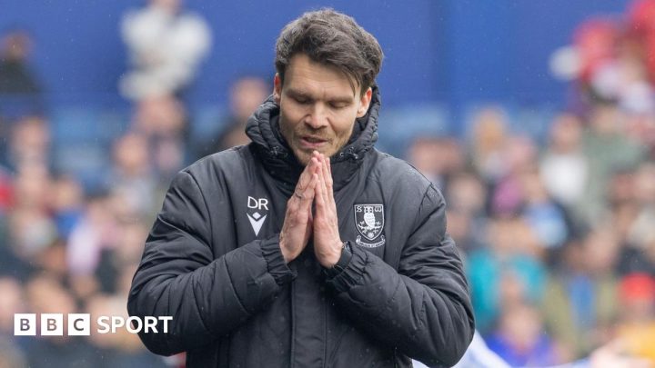 Sheffield Wednesday: Danny Rohl should be celebrated for Owls impact