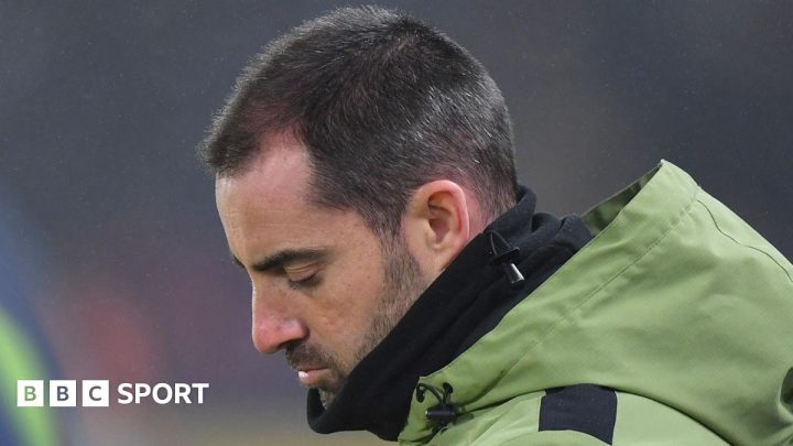 Hull City: Fans have their say on Ruben Selles departure