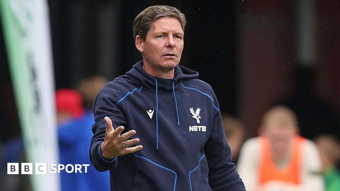 Crystal Palace: How are the club shaping up for new season after uncertain summer Crystal Palace: How are the club shaping up for new season after uncertain summer