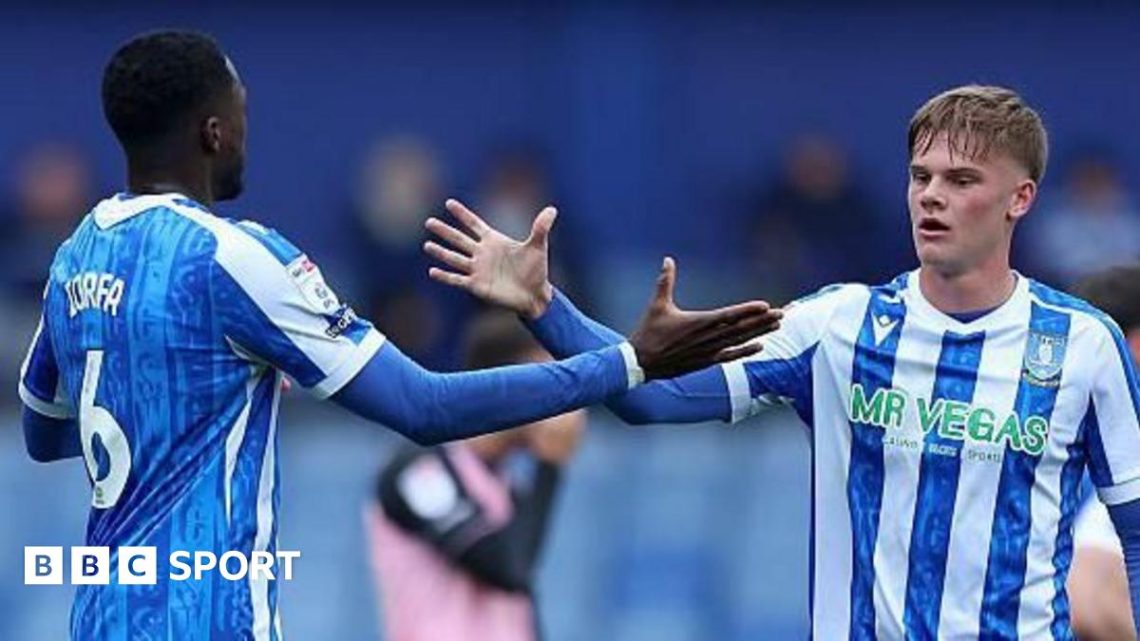 Sheffield Wednesday 1-1 Queens Park Rangers: Nicolas Madsen denies Owls win Sheffield Wednesday 1-1 Queens Park Rangers: Nicolas Madsen denies Owls win