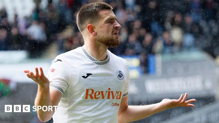 Swansea City 2-1 Norwich City: Vipotnik double sees Swans beat troubled Norwich