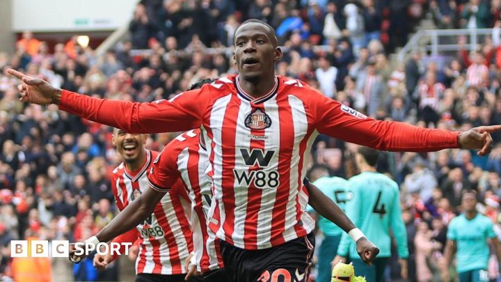 Sunderland maintain fine home form as Wolves lose again