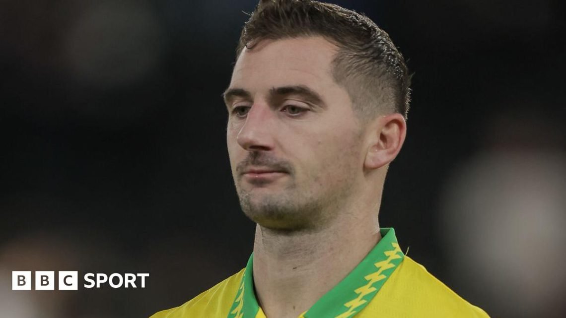 Kenny McLean: Players to blame for Norwich City predicament Kenny McLean: Players to blame for Norwich City predicament