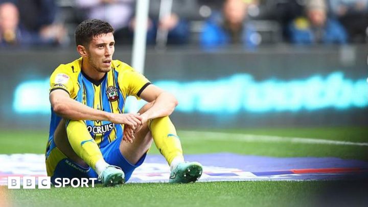 Southampton FC opinion: Who could replace Ross Stewart?
