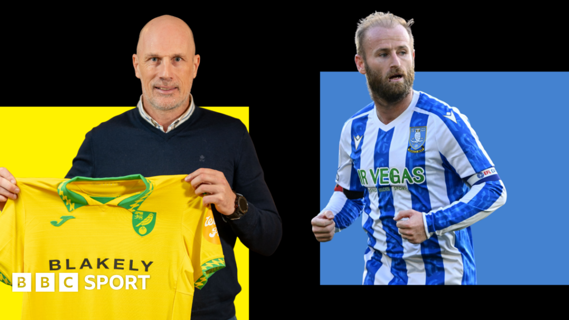 Five things to look out for in the EFL: A Steel City struggle and Norwich City’s new era Five things to look out for in the EFL: A Steel City struggle and Norwich City’s new era