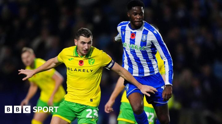 Sheffield Wednesday 1-1 Norwich City: Canaries halt losing run