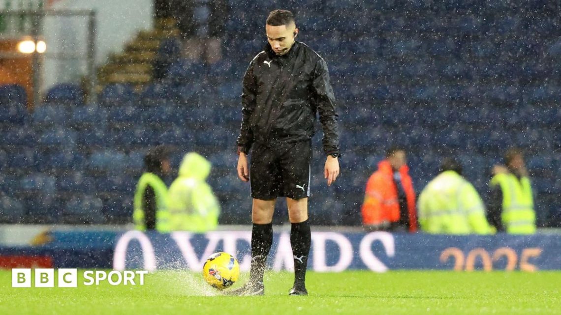 Valerien Ismael: Blackburn boss to limit signings for new pitch Valerien Ismael: Blackburn boss to limit signings for new pitch
