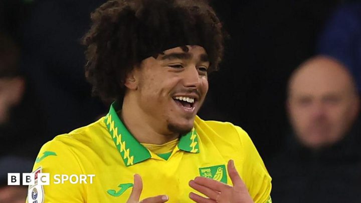 Norwich City 1-0 Charlton Athletic: Jovon Makama nets Canaries winner
