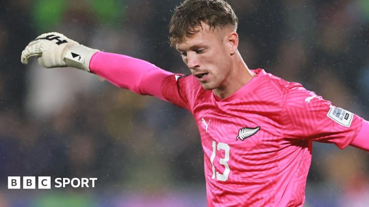 Henry Gray: Harrogate Town sign Ipswich Town goalkeeper on loan