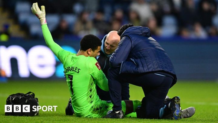 Pierce Charles: Sheffield Wednesday keeper could miss months with shoulder injury