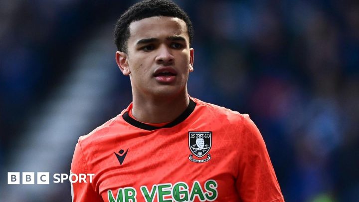Pierce Charles: Sheffield Wednesday goalkeeper out for up to eight weeks