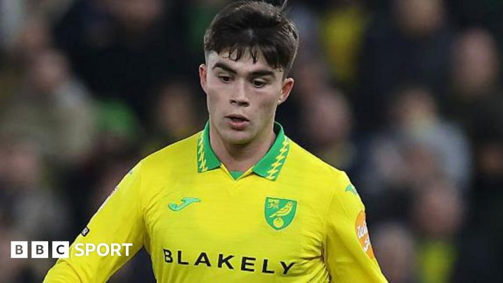 Harry Amass: Norwich loanee suffers ‘serious’ training injury