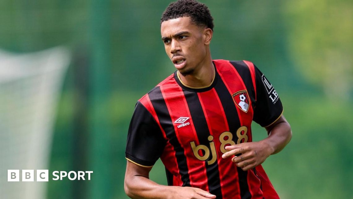 Zain Silcott-Duberry: Sheffield Wednesday sign former Bournemouth forward Zain Silcott-Duberry: Sheffield Wednesday sign former Bournemouth forward