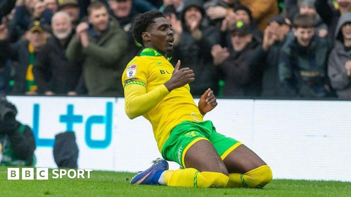 Norwich City 2-0 Blackburn Rovers: Canaries beat fellow strugglers