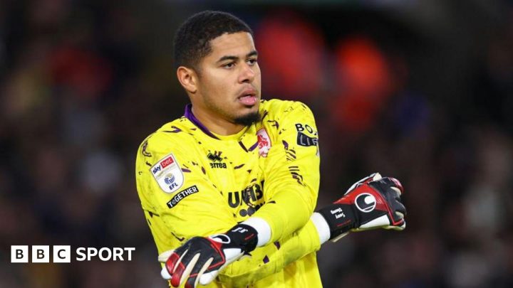 Relegation threatened Sheffield Wed sign Seny Dieng in emergency loan