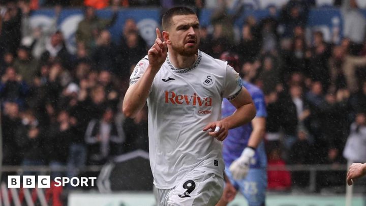 Swansea City 1-0 Bristol City: Zan Vipotnik goal sees Swans beat Robins