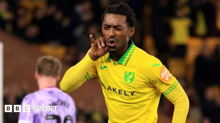 Norwich City 2-0 Sheffield Wednesday: Canaries beat relegated Owls