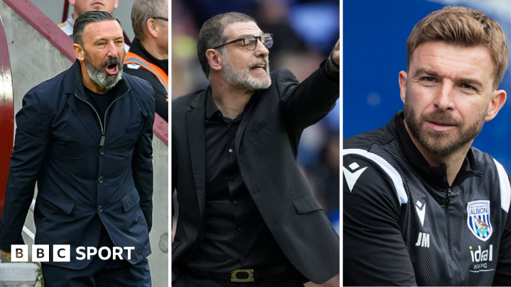 West Bromwich Albion fan views: Slaven Bilic, Derek McInnes and James Morrison among favoured contenders