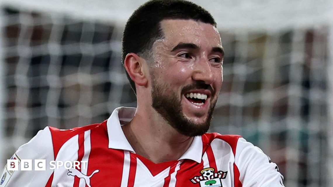 Southampton 1-0 Norwich City – Saints move into top six Southampton 1-0 Norwich City – Saints move into top six