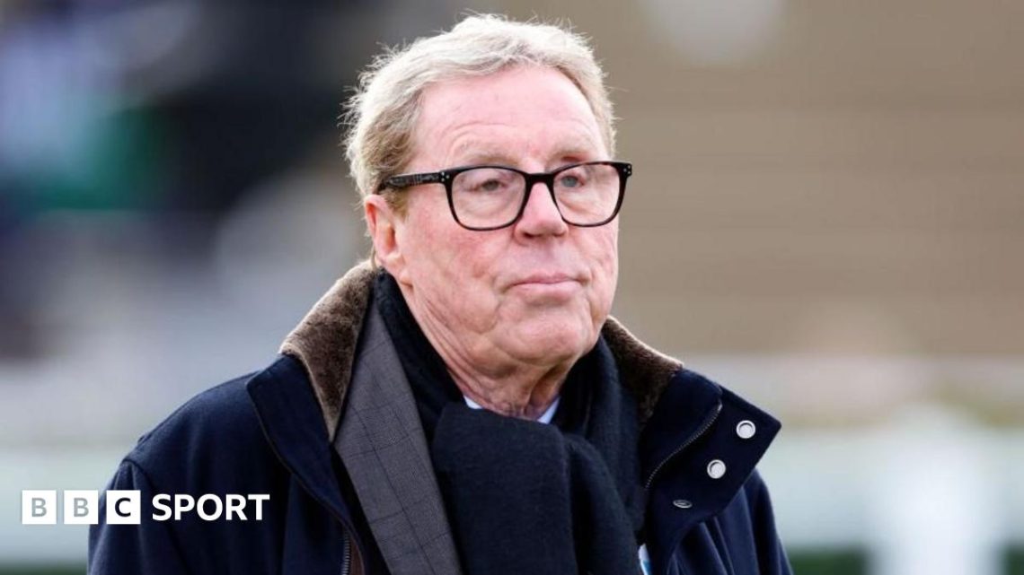 Harry Redknapp: Southampton punishment ‘very harsh’ but spying ‘stupid beyond belief’ Harry Redknapp: Southampton punishment ‘very harsh’ but spying ‘stupid beyond belief’