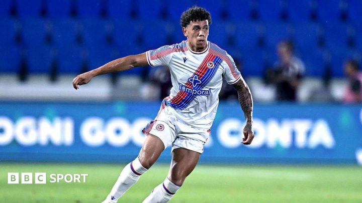 Bristol City sign Palace defender Rio Cardines on loan
