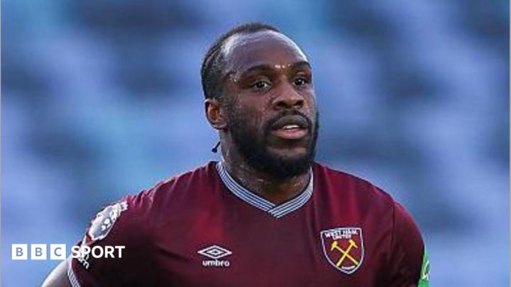 Michail Antonio: Why ex-West Ham striker could fit the bill for Watford