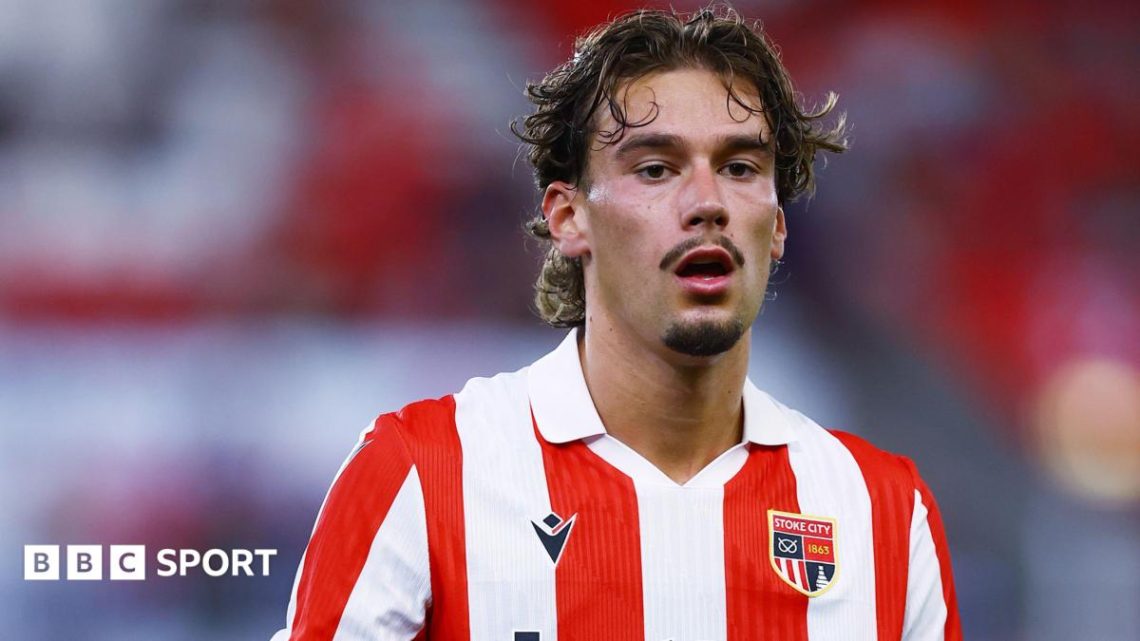Milan Smit: Stoke City striker joins German side Darmstadt on loan Milan Smit: Stoke City striker joins German side Darmstadt on loan