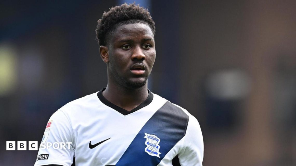 Chris Davies says Birmingham City are unlikely to land Brighton’s Ibrahim Osman Chris Davies says Birmingham City are unlikely to land Brighton’s Ibrahim Osman