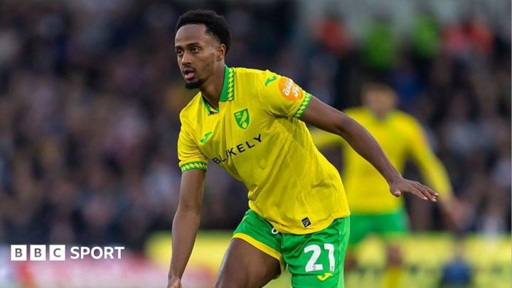 Ali Ahmed: Norwich City confirm winger suffers ACL injury